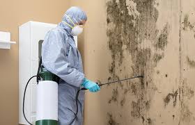 Best Asbestos and Lead Testing During Mold Inspection in USA